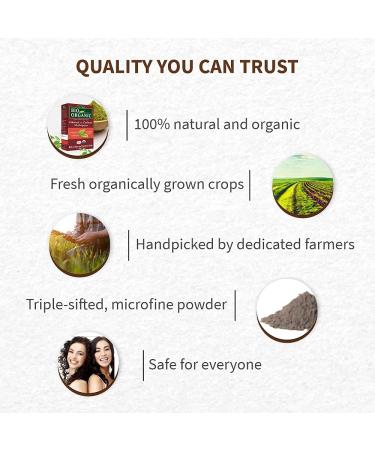 Indus Valley Bio Organic 100% Pure Natural Henna Hair Color - Mahogany | International Shipping Available - Buy Online on GoSupps.com
