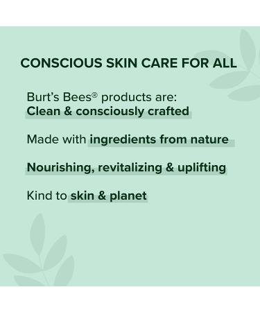 Burt's Bees Moisturizing Lip Balm 4-Pack - Freshly Picked | 0.15 oz Each - Buy Online on GoSupps.com