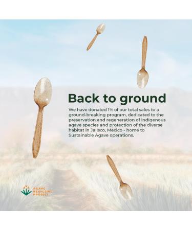 Sustainable Agave Co - Agave Fiber Spoons - Plastic-Free Biodegradable Compostable Plant-Based - Brown Bulk - 500 Count - Buy Online on GoSupps.com