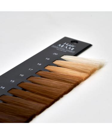 Hair Level Scale Chart Set | Optimize Hair Brightness for Salons & Hairdressers - International Shipping Available - Buy Online on GoSupps.com