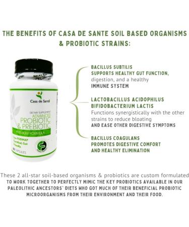 Casa de Sante Advanced Probiotic & Prebiotic - GLP-1 Support for Sensitive Stomachs | Low FODMAP Gut Friendly Synbiotic 4.4B CFU PreforPro Technology - 60 Delayed Release Capsules - Buy Online on GoSupps.com