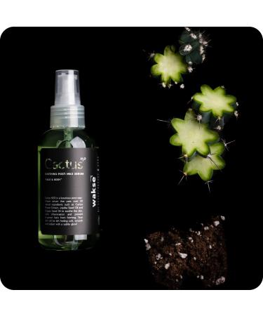 Buy Wakse Cactus H2o Serum | Post Wax Care for a Smooth Skin | International Shipping Available - Buy Online on GoSupps.com