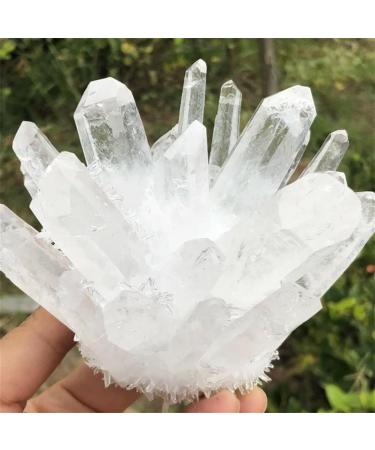Natural White Crystal Cluster Quartz Crystal Collection Full of Texture (Size : 450-500g)