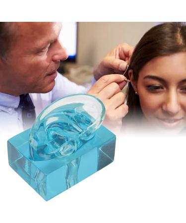 Acrylic Blue Transparent Right Ear Display Model - Waterproof Fake Ear for Sound Aids - Buy Online on GoSupps.com