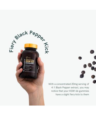 Dr Sosnowski's BioActive KSM-66 Ashwagandha Gummies | 750mg Ashwagandha Extract with Vitamin D2 (60 Gummies) Gummies 60 Count (Pack of 1) - Buy Online on GoSupps.com
