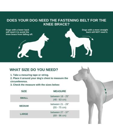 Ortocanis - Knee Brace for Dogs with Ligament Rupture and Patella Luxation Size XXS Left Leg Left leg XXS - Buy Online on GoSupps.com