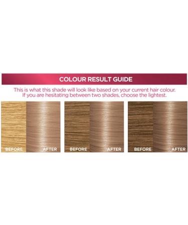 L'OREAL Excellence Nat Frosted Beige Blonde 8.12 1 Unit 8.12 Frosted Beige Blonde 1 unit (Lot de 1) - Buy Online on GoSupps.com