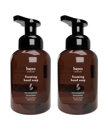 Foaming Hand Soap, Plant-Derived - Aromatic and Nourishing Hand Wash, Infused with Natural Essential Oils - USDA Certified Biobased - 12 Ounce, Eucalyptus Lavender, 2 Pack Eucalyptus Lavender 12 Fl Oz (Pack of 2)