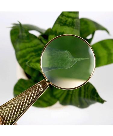 Mini Vintage Handheld Magnifier Metal Frame HD Optical Glass Lens Good Times - Buy Online on GoSupps.com