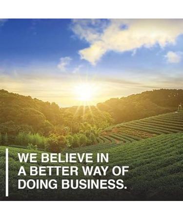 Grass Fed Collagen Peptides | 10g Collagen Per Serving & Raw All-in-One Nutritional Shake Chocolate Cocoa Collagen + Shake - Buy Online on GoSupps.com