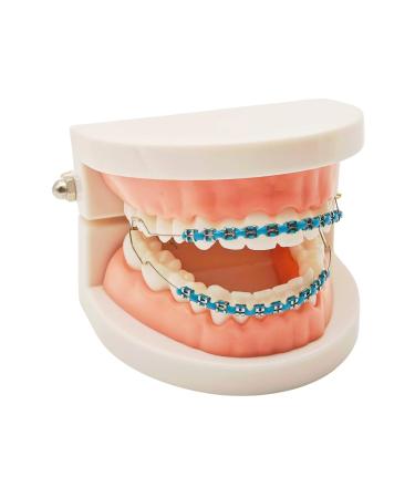 1 Pack Temporary fake braces clip on brackets for adults teeth props for dental students Tooth Decoration Orthodontist Explain Props with Metal Wires Metal Bracket Halloween Tooth Decorations (blue) - Buy Online on GoSupps.com