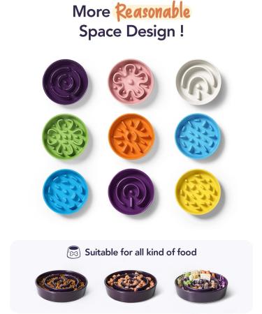 LE TAUCI Ceramic Slow Feeder Dog Bowl - Medium 1.5 Cups Maze Purple - Non-Slip & Chew-Resistant Puppy Food Bowl for Fast Eaters - Buy Online on GoSupps.com