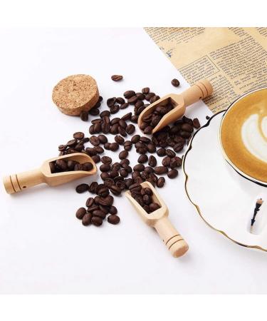 Pzhoais 40 Pcs Mini Wooden Spoon Mini Bath Salt Spoon Wooden Candy Spoon Washing Spoon Spoon Set Baby Spoon - Buy Online on GoSupps.com