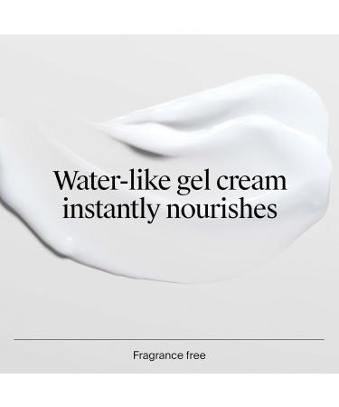 Neutrogena Hydro Boost Gel Cream with Hyaluronic Acid Lightweight Facial Moisturizer for Normal to Dry Skin Hydrating & Non-Comedogenic Face Cream for Dewy Plump Skin Fragrance Free 1.7 fl. oz - Buy Online on GoSupps.com