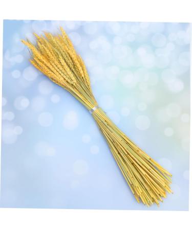 Artibetter 1 Decor Dried Wheat Natural Wheat Dried Flowers Simulation Wheat Rural Wheat Ears of Wheat Flower Basket Golden 15*42cm - Buy Online on GoSupps.com