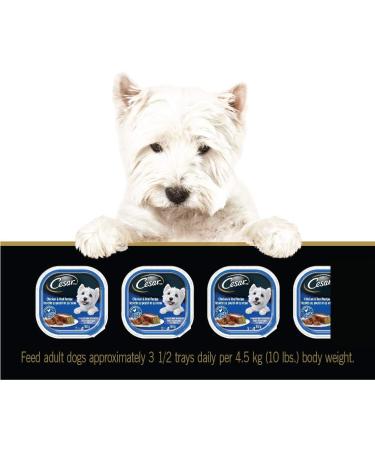CESAR Adult Wet Dog Food Classic Loaf in Sauce Entr es - Chicken & Veal 100g Tray (24 Pack) Chicken & Veal 100 g (Pack of 24) - Buy Online on GoSupps.com