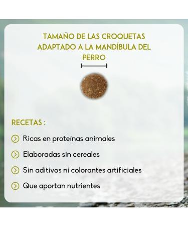 NUTRIVET - INNE Dog - Grain-free kibble - Sterilized or overweight adult dog - Poultry - 80% ingredients of animal origin - 3 kg - Buy Online on GoSupps.com