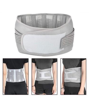 Anggrek Lumbar Support Belt - Adjustable Compression Waist Support for Men & Women | Breathable Lordosis Pain Relief (Gray L) - Buy Online on GoSupps.com