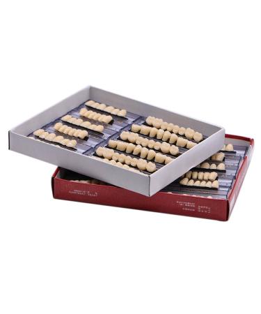 168 Pcs Dental Synthetic Resin False Teeth Set - Temporary Denture Teeth - 6 Sets A2 Color - Buy Online on GoSupps.com