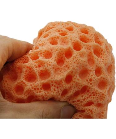 Dove Body Wash Natural Sponge Shower Body Sponge Body Bath Spa Exfoliator Sponge Washing Cleansing Face Puff Scrubber Sponge Soft Cosmetic Sponge (Orange) Bath Sponge Bath Sponge - Buy Online on GoSupps.com