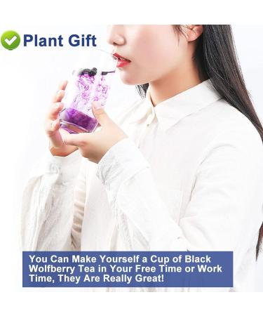 Flower 2 (100G-Black Wolfberry) - Buy Online on GoSupps.com