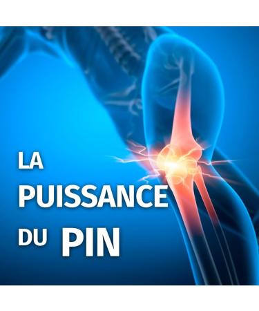 MSM 2100 mg - Methylsulfonylmethane Organic Pine Sulfur - 180 Capsules - High Quality Green Naturals - Buy Online on GoSupps.com