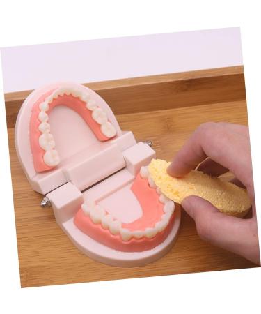 Minkissy Educational Tooth Brushing Toy Set - Early Learning Teeth Model for Kids | Reusable Pedagogical Teaching Tools - Buy Online on GoSupps.com
