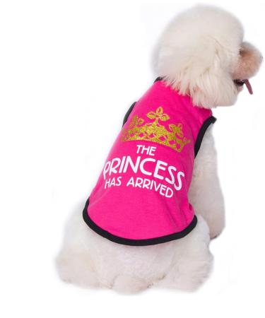3-Pack Dog Clothing | Princess & Prince T-Shirts for Cats & Small to Medium Dogs - Cute Costumes - Buy Online on GoSupps.com