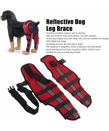 Dog Knee Brace Adjustable Dog Leg Brace Double Rear Leg Brace Elastic Shockproof Dog ACL Brace CCL Brace Hind Leg Pet Knee Pads with Reflective Strips for Pets and Dogs (L) Large - Buy Online on GoSupps.com