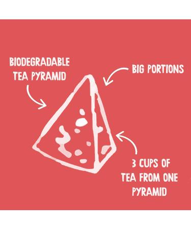 Red Raspberry Leaf Tea Pregnancy Preconception PMS | Natural Biodegradable Baby Shower Pamper Kit | Nipper & Co (14 Reusable Bags 42 Cups) - Buy Online on GoSupps.com