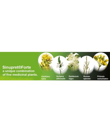 Bionorica Sinupret Forte Sinus Congestation 2x20 Tabs - Pack 40 Tabs - Buy Online on GoSupps.com