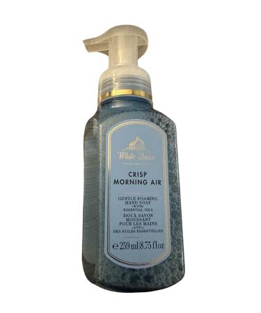 Bath & Body Works Foaming Hand Soap 8.75oz & 259ml (Crisp Morning Air)