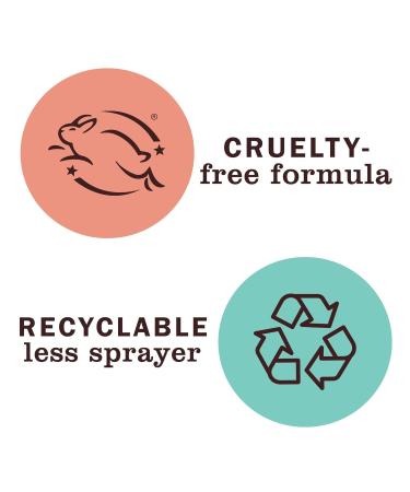 MRS. MEYER'S CLEAN DAY All-Purpose Cleaner Spray, Limited Edition Acorn Spice, 16 fl. oz - Pack of 3 - Buy Online on GoSupps.com