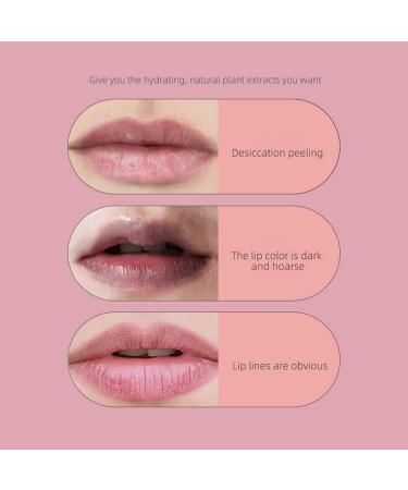 12-Color Lipstick Palette | Long-Lasting Matte Velvet Stick | Universal Shades Lightweight Gloss Soft Texture Ideal for Adult Women and Teenagers - Buy Online on GoSupps.com