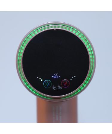 Portable Hair Dryer with Negative Ions Rechargeable Hair Dryer with Temperature Control for Home Travel Hot Cold Wind Overheat Protect (US Plug 100-240V) - Buy Online on GoSupps.com