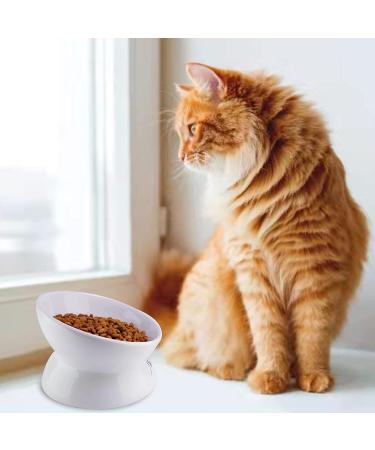 Elevated Tilted Ceramic Cat Bowl for Food & Water - Anti-Vomiting, Reduce Neck Strain - White - Buy Online on GoSupps.com