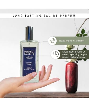 Perfect Scents Fragrances | Inspired by Jo Malone s Wood Sage & Sea Salt | Platinum Collection | Coastal Sage | Unisex Eau de Parfum | Paraben & Phthalate Free | Never Tested on Animals | 3.4 Fl Oz Jo Malone's Wood Sage & Sea Salt - Buy Online on GoSupps.com