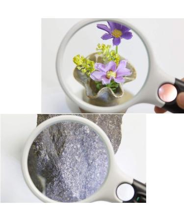XENITE Glass High-Definition Glass with Lamp 20 Times Hand-held High-Power Children's Old Man Reading Maintenance Identification 10 Times Glass Volume 210 103 30mm OfficeProducts Magnifier - Buy Online on GoSupps.com