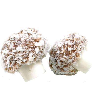 Old Timers Taveners Coconut Mushrooms in Reusable Retro Victorian Style 1.8 litre Plastic Jar 1000 grams 1.3 kg - Buy Online on GoSupps.com