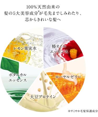 Tsubaki Shiseido Soft Shiny Hair Conditioner 450mL - Buy Online on GoSupps.com