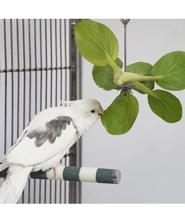 Stainless Steel Parrot Feeding Cups with Clamp Holder (3 Pcs) - Ideal for Macaw, African Gray, Parakeet, Canary, Cockatiel, Conure - Bird Cage Feeding Bowls by Hamiledyi - Buy Online on GoSupps.com