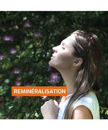 Laboratoire Beauchamp - Food supplement PRELE - 50 capsules - Silica intake - Helps remineralization - Developed in France - Buy Online on GoSupps.com