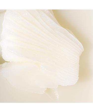 Inglot Lab | Beurre D maquillant Nourrissant 50 ml | D maquillant Efficace et D licat | Formule V gane | Traitement Hydratant pour la Peau | Sans Parab nes - Buy Online on GoSupps.com