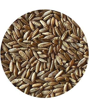 Organic Whole Rye Berries - 2 lbs | Premium Quality Grains - Buy Online on GoSupps.com