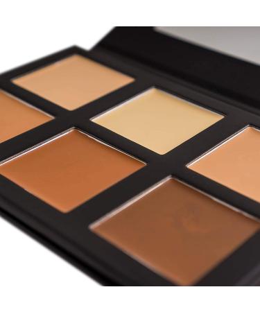 SHANY Layer 2 Contour & Highlight Palette Refill - for 4-Layer Makeup Kit - Buy Online on GoSupps.com