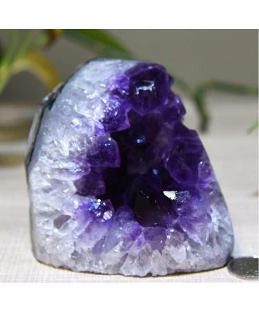 About 300g-900g Natural Amethyst geode Quartz Cluster Crystal Specimen Home Collections (Size : 800g) - Buy Online on GoSupps.com