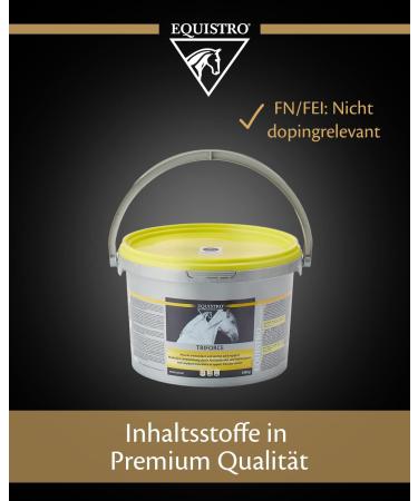 Equistro Triforce Powder 600g for Horses - Buy Online on GoSupps.com