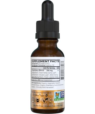Dr. Green Mom Bronchial Calm Kids - Natural Cough Liquid Drops for Babies, Toddlers & Children - Herbal Kids Cold & Flu Support - Natural, Sugar-Free, Non-GMO, Dye-Free - Buy Online on GoSupps.com