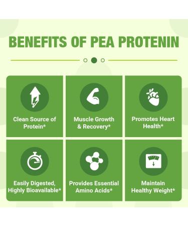 Organic 100% Pea Protein Powder - 27g Protein/Serving, Vegetarian, Gluten-Free, Non-GMO - 2.62lbs - Buy Online on GoSupps.com