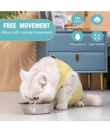 Ksuktsw Katzenbody: Post-Op Recovery Suit for Cats | Comfortable Cat Clothing for Castrated Cats - Shop Now! - Buy Online on GoSupps.com